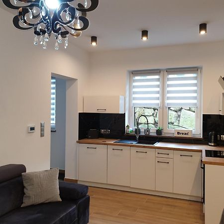 Villa Mila Apartamenty Karpacz Kültér fotó