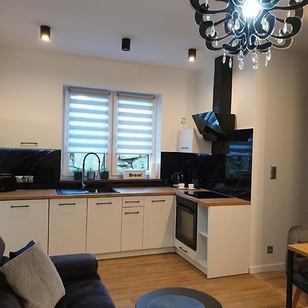 Villa Mila Apartamenty Karpacz Kültér fotó