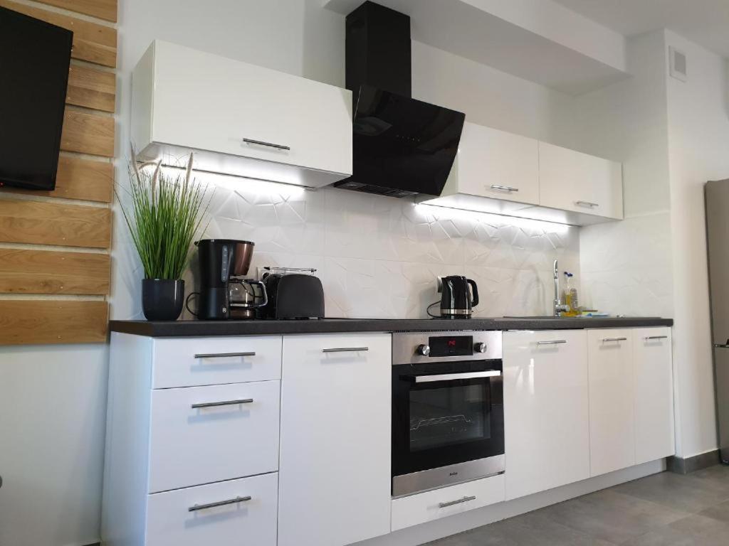 Villa Mila Apartamenty Karpacz Kültér fotó