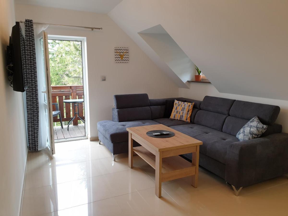 Villa Mila Apartamenty Karpacz Kültér fotó
