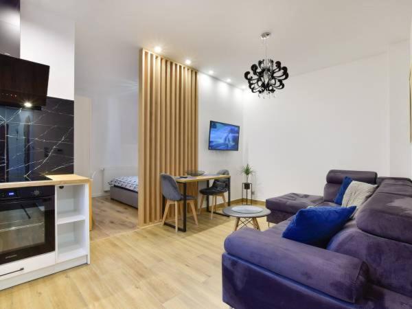 Villa Mila Apartamenty Karpacz Kültér fotó